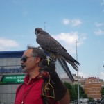 IMGP0879