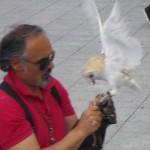 IMGP0888